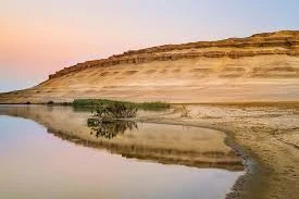 A Private Day Tour Fayoum Oasis and Wadi El Rayan