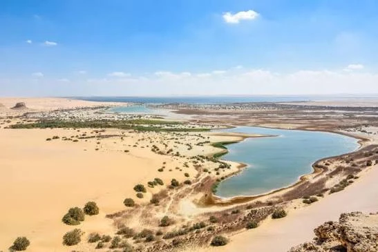 A Private Day Tour Fayoum Oasis and Wadi El Rayan