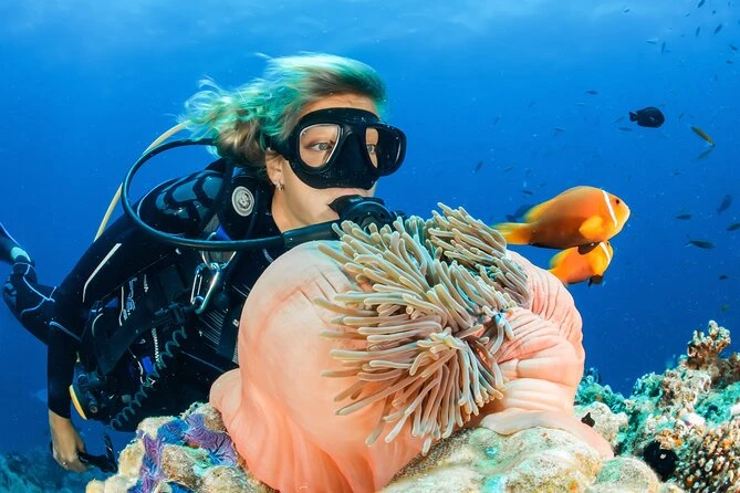 Ras Mohammed Coral Reef Diving