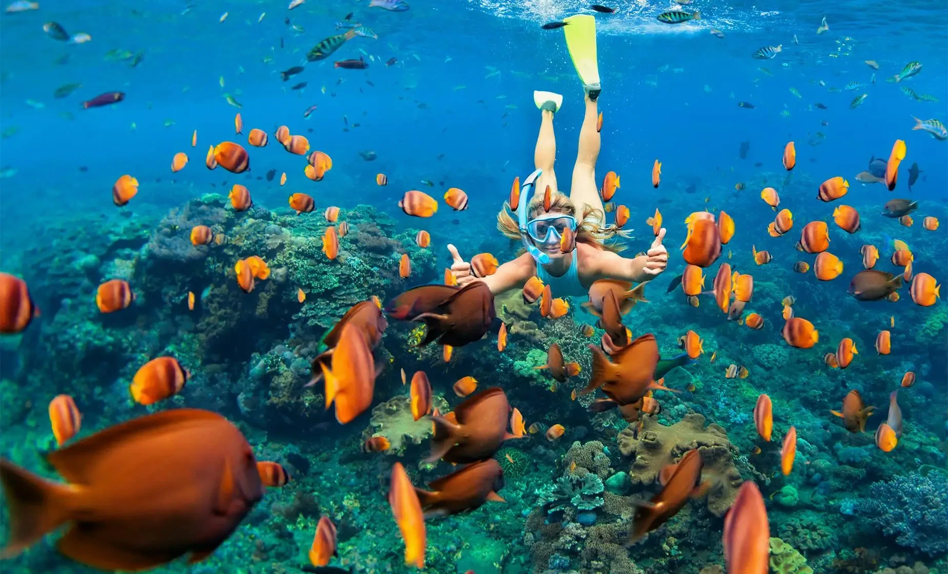 Ras Mohammed Shore Excursion Diving