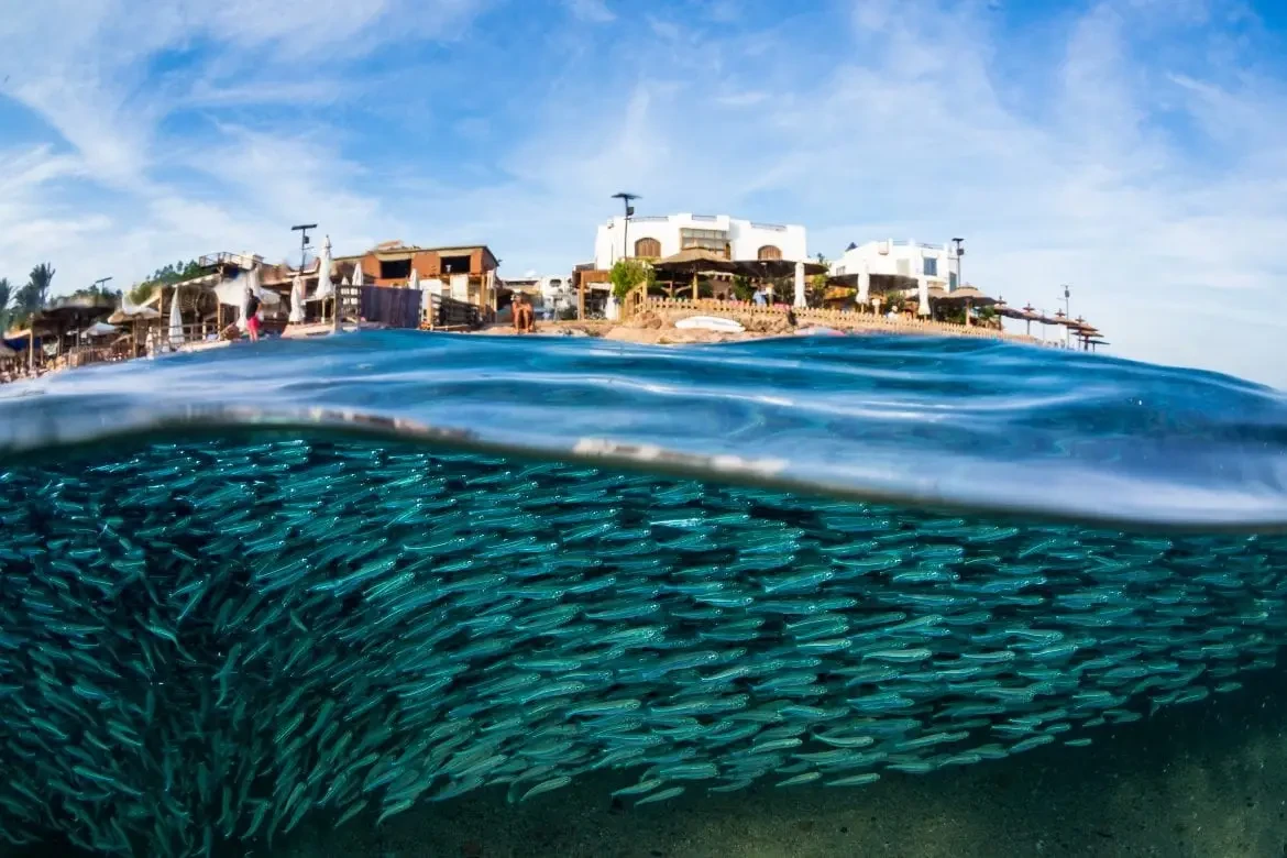 Dahab Day Trip Sharm Port