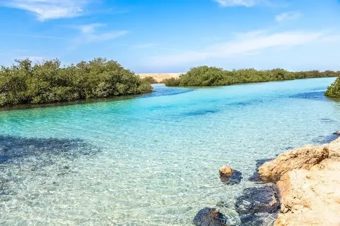 Ras Mohamed Coral Reefs Egypt