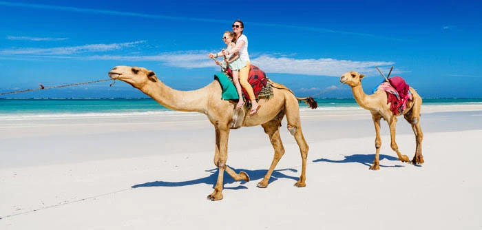 10 days Egypt accessible tour packages from Cairo airport