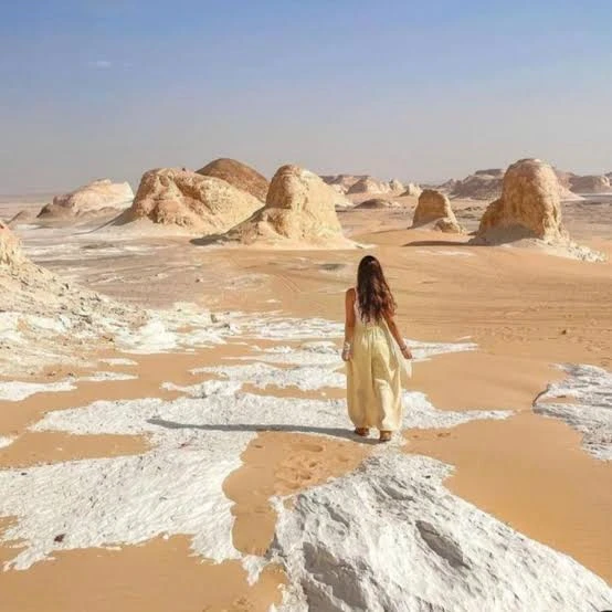 White Desert camping & Bahariya,Frafra Oasis Safari Tours