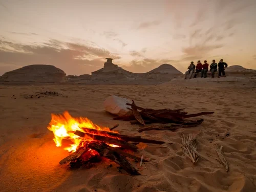 White Desert camping & Bahariya,Frafra Oasis Safari Tours