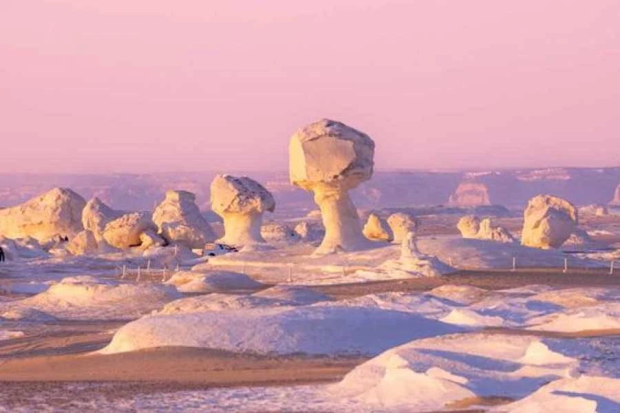 Egypt Short Breaks Fayoum, Wadi El Hitan & The White Desert