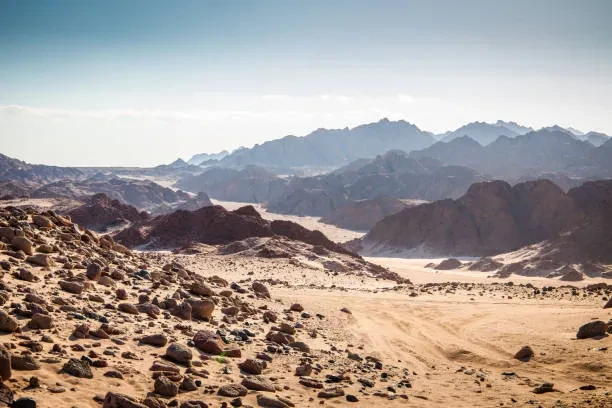 2-Day Sinai Desert Adventure