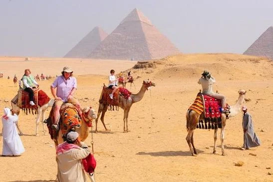 Camel Ride in Giza Pyramids