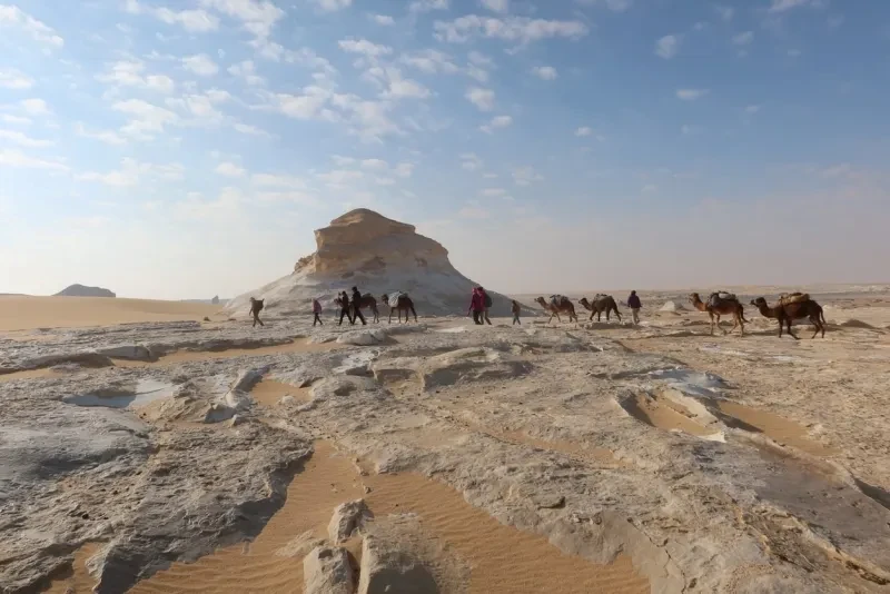 Desert Trip Egypt: Fayoum, Wadi El Hitan & The White Desert