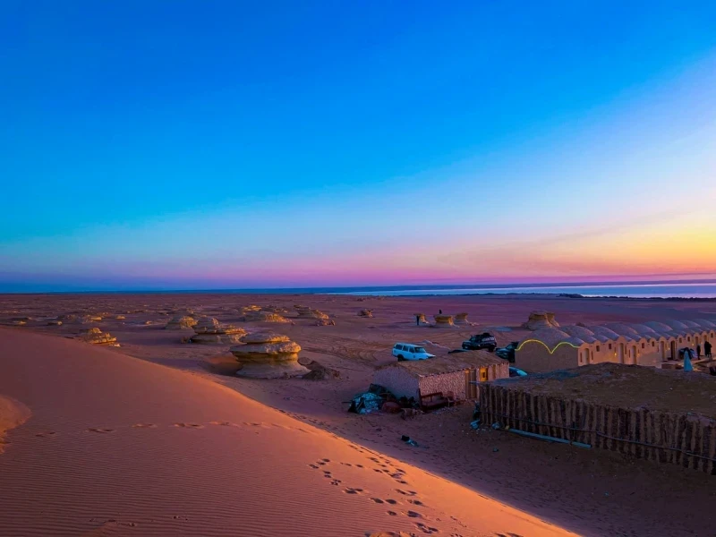 Desert Trip Egypt: Fayoum, Wadi El Hitan & The White Desert
