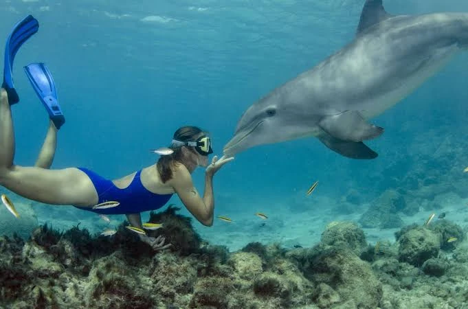 Dolphin House Tour in Marsa Alam
