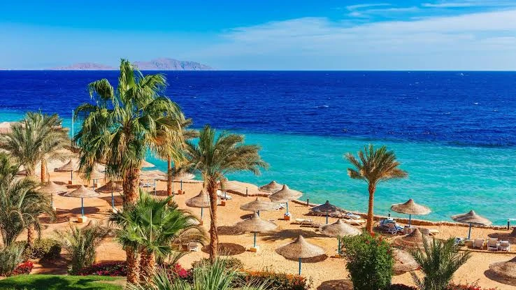 Overnight Trip to Luxor from Marsa Alam