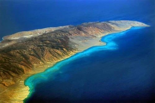 Snorkeling Trip to Tiran Island