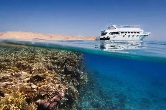 Snorkeling Trip to Tiran Island