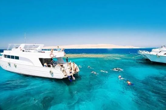 Snorkeling Trip to Tiran Island