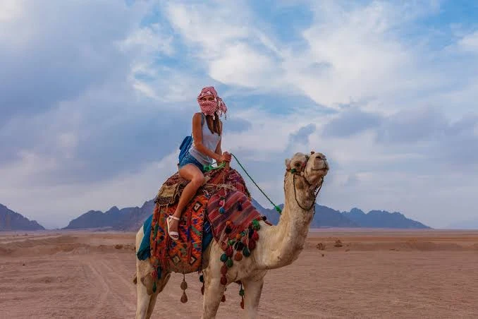 Quad biking with Camel ride and Beduin dinner