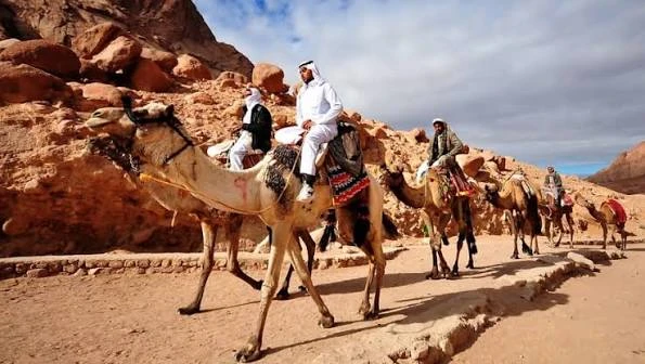 Quad biking with Camel ride and Beduin dinner