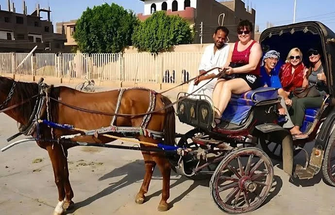 Aswan Horse Carriage Trip