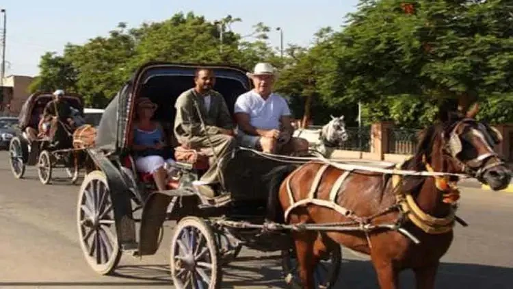 Aswan Horse Carriage Trip