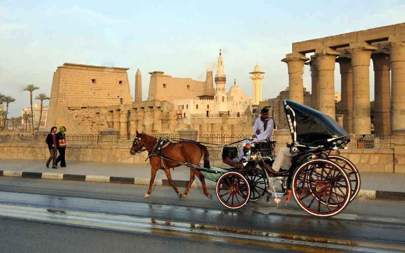 Luxor Horse Carriage Trip