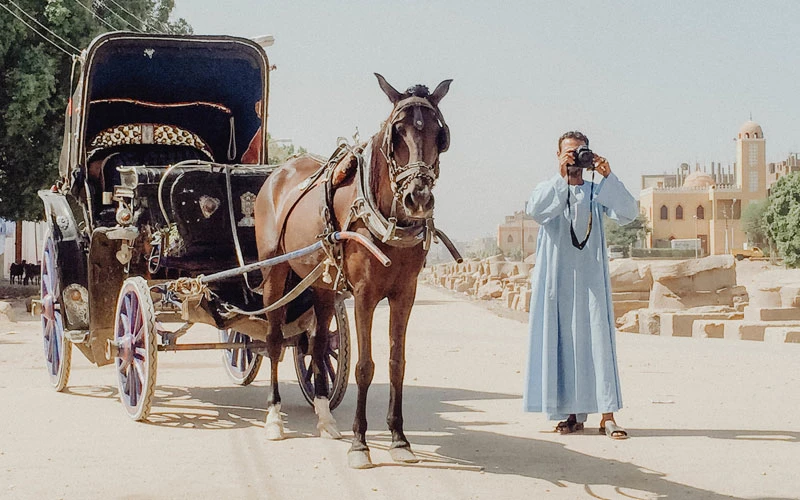 Luxor Horse Carriage Trip