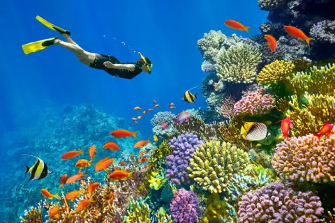 Snorkeling Trip at Hamata Islands From Marsa Alam