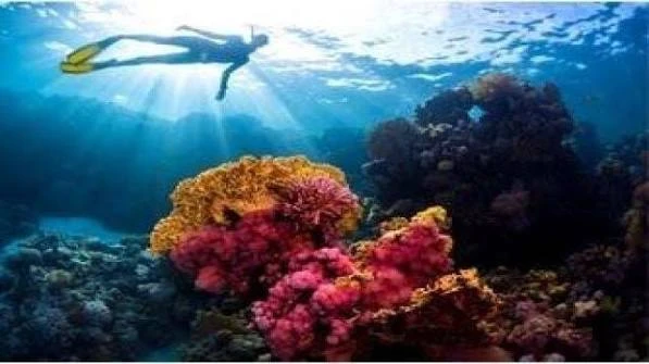 Scuba diving Hurghada