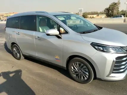 Family Minivan from Cairo to Suiz