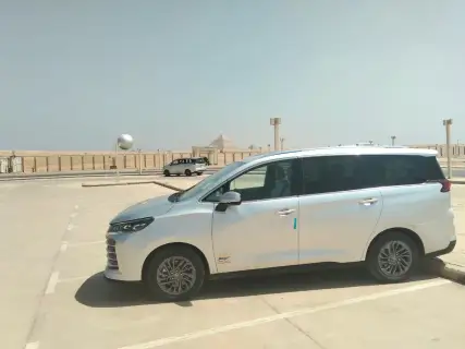 Family Minivan from Cairo to Dahshur/Meidum/Fayoum