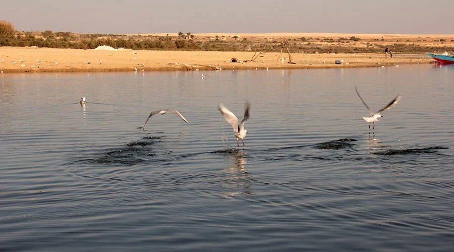 Peaceful views of ancient Qarun Lake