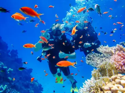 Tiran Island Snorkeling Trip from Sharm El Sheikh