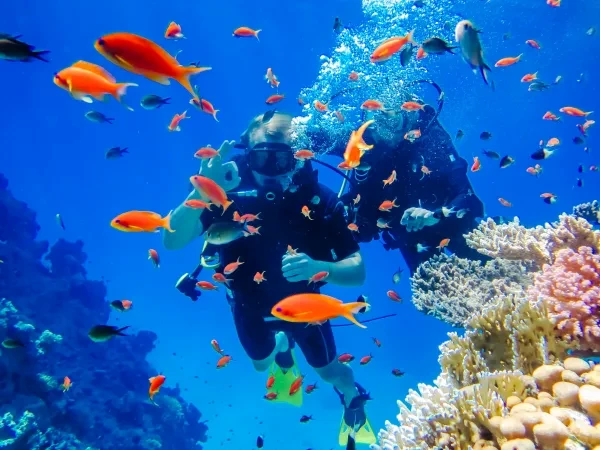 Tiran Island Snorkeling Trip from Sharm El Sheikh