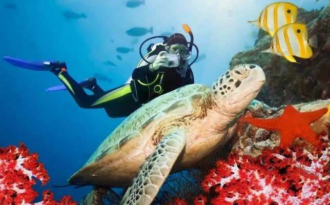 Tiran Island Snorkeling Trip from Sharm El Sheikh