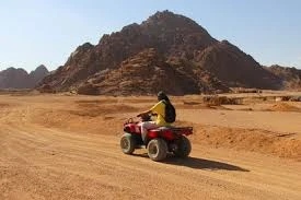 Quad Bike and Camel Safari in Sharm El Sheikh