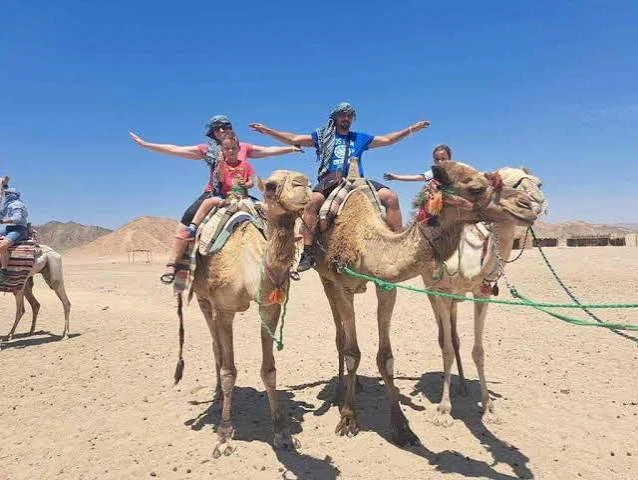 Quad Bike and Camel Safari in Sharm El Sheikh