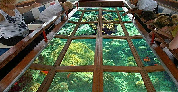 Glass Boat Trip in Sharm El Sheikh