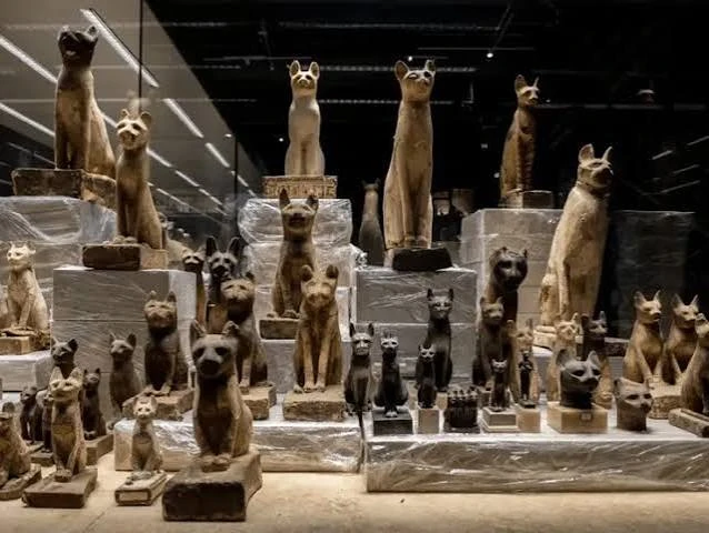 Tour to Sharm El Sheikh Museum of Antiquities