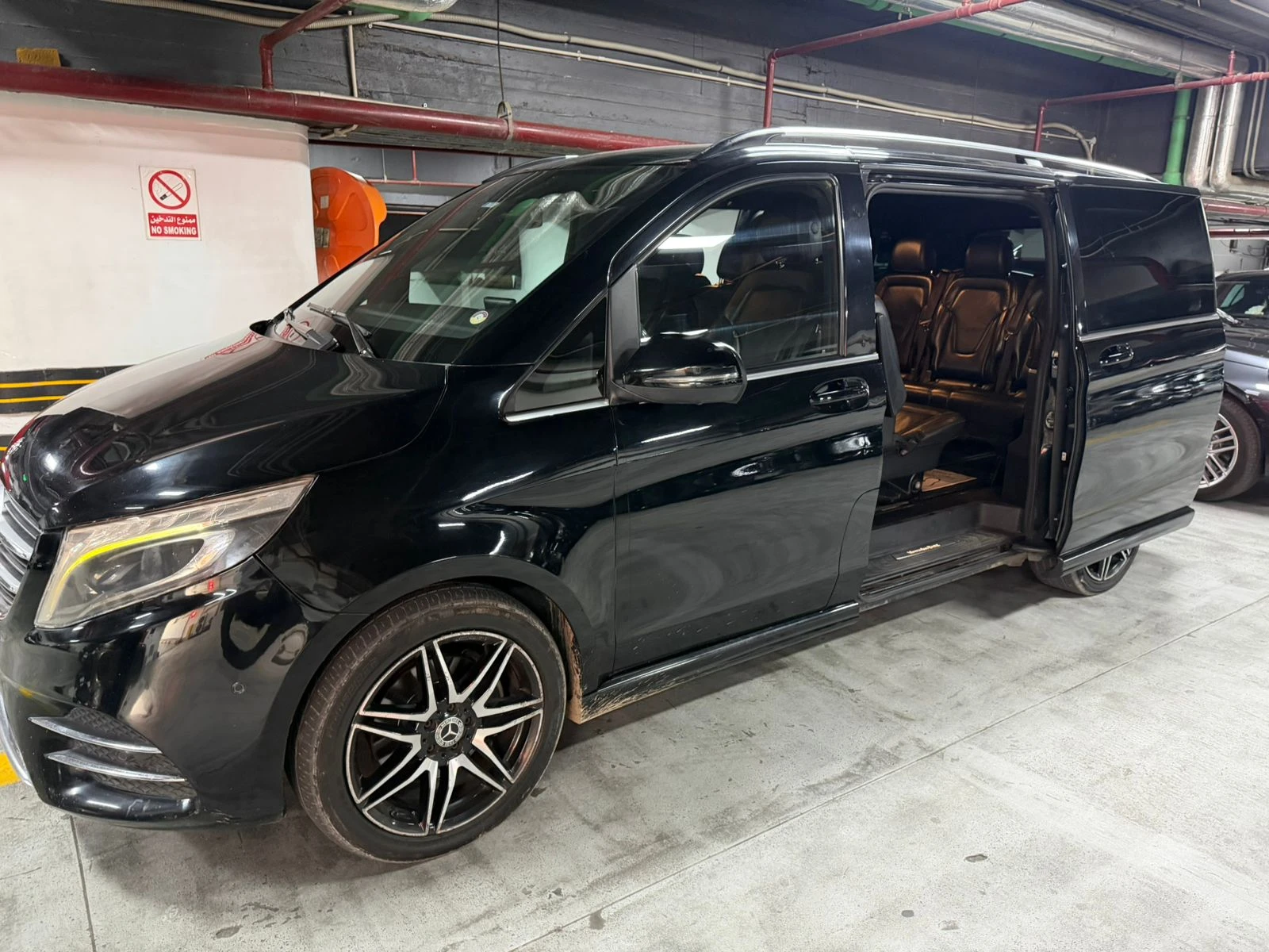 Mercedes Viano with Driver in Cairo