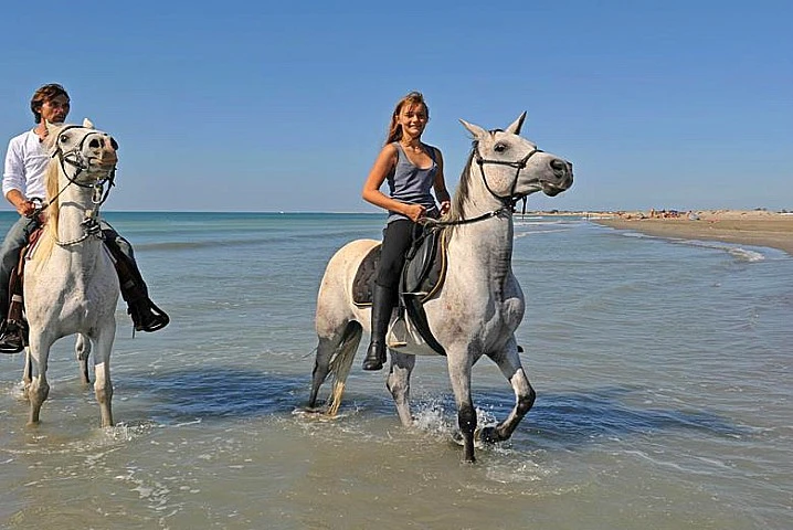 Horseback Riding in the Desert of Sharm El Sheikh