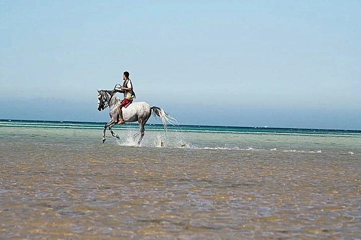 Horseback Riding in the Desert of Sharm El Sheikh