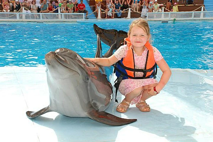 Dolphin Show in Sharm El Sheikh