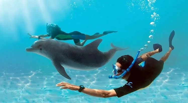 Private Snorkeling In Hurghada
