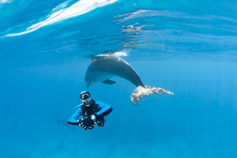 Scuba diving in Hurghada