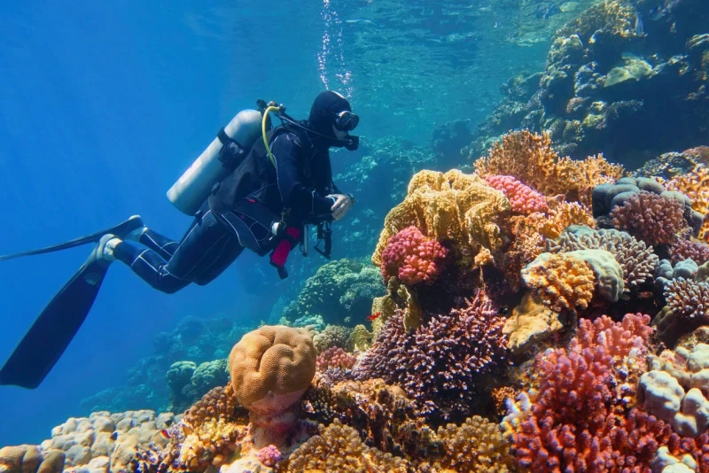 Scuba diving in Hurghada