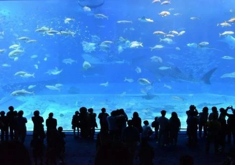 Hurghada Grand Aquarium Tour
