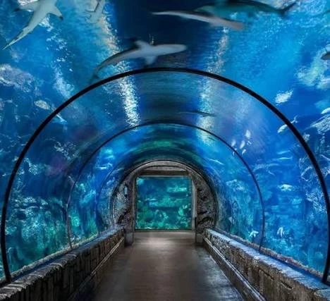 Hurghada Grand Aquarium Tour