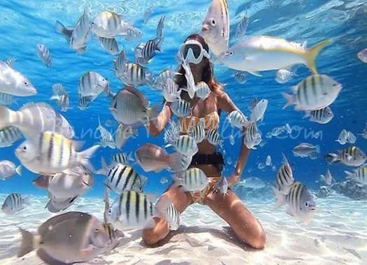 Snorkeling by Boat to Ras Mohamed & White Island