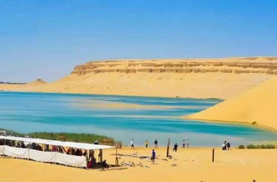Tour to Fayoum Oasis From Cairo
