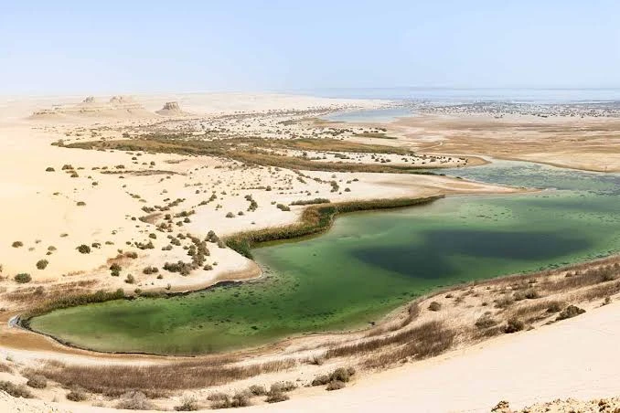 Tour to Fayoum Oasis From Cairo