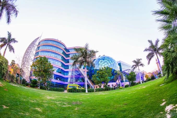 A Day Tour To The Children's Cancer Hospital 57357 In Cairo